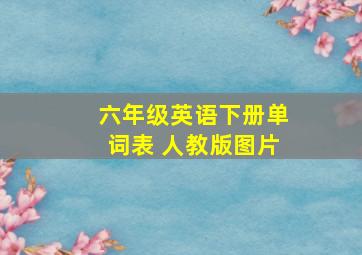 六年级英语下册单词表 人教版图片